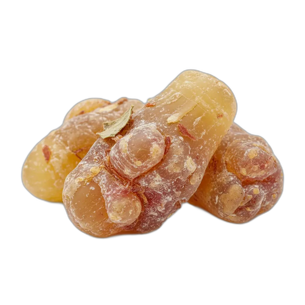 Boswellia serrata — φυσικό συστατικό που υποστηρίζει την ευεξία.